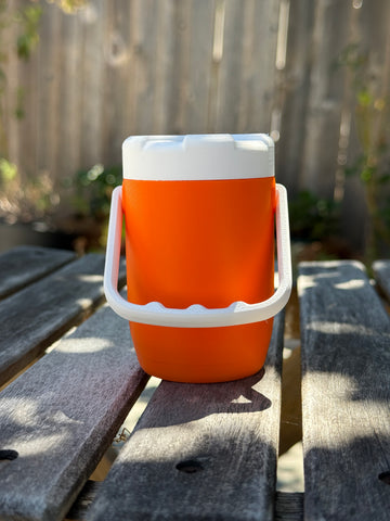 2 Jar Mini Igloo Cooler